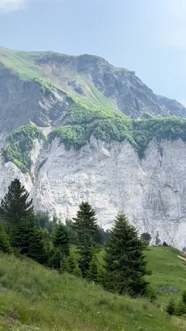 Grame ⛰️🌲🌲