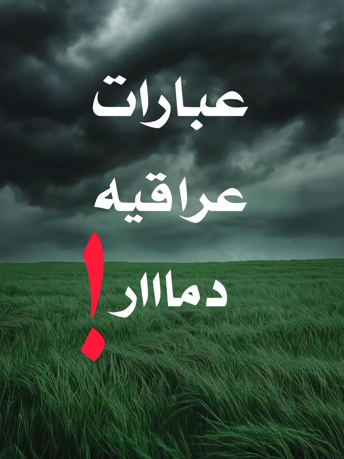 #عبارات #شعراء_وذواقين_الشعر_الشعبي🎸 #عباراتكم_الفخمه📿📌 #شعر #اكسبلورexplore 