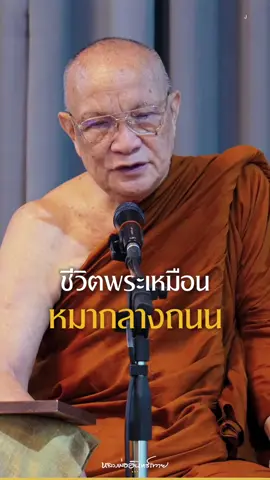 ชีวิตพระเหมือนหมากลางถนน #พระราชภาวนาวชิรากร  #หลวงพ่ออินทร์ถวาย_สนฺตุสฺสโก  #วัดป่านาคําน้อย 