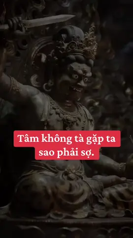 #xuhuong #xuhuongtiktok 