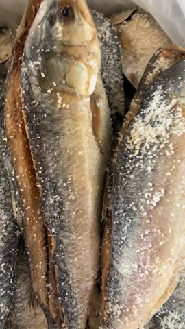 ငါးသလောက်ဆားနယ် #မဒါဒါဆိုင်