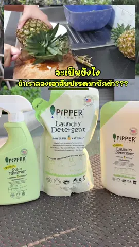 🍍 เขาว่ากันว่าสับปะรดมีเอนไซม์ช่วยทำความสะอาดได้ แต่จะให้หมักเองก็คงเกินปุยมุ้ย~ 🤭 ไม่ต้องยุ่งยากเลย แค่ใช้ ผลิตภัณฑ์ซักผ้าและปรับผ้านุ่ม และผลิตภัณฑ์ขจัดคราบจาก Pipper Standard คราบไหนก็เอาอยู่ ✅ หอม สดชื่น ปลอดภัยด้วย 💚 #พิพเพอร์สแตนดาร์ด #pipperstandard #พิพเพอร์ #ขจัดคราบ 