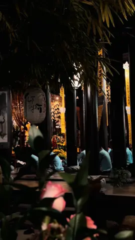 Giữa ánh vàng ấm áp nơi cửa thiền, những cánh hoa và làn khói hương như ôm ấp tâm hồn người tìm về chốn an yên. Tiếng kinh nhẹ ngân, hòa cùng hơi thở chậm rãi của những tấm lòng thành kính. Một khoảnh khắc lặng, để tâm tĩnh lại, buông bỏ mọi muộn phiền. #chuatutam #pagoda #danang 