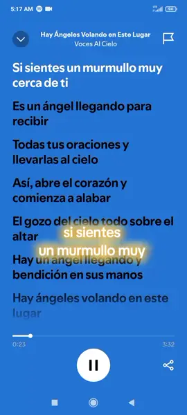 Hay Ángeles Volando En Este Lugar - Voces Al Cielo #alabanzacatolica  #videoconletra  #spotify 