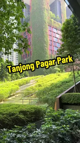 ༄🍃Forget your troubles💚☘️ #singapore #nature #tanjongpagar #exploresg #fyp 