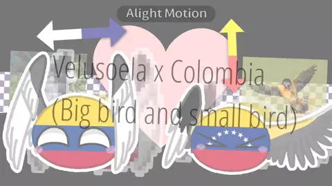 Re-edit! Previously i put the national flags in the wrong order Big bird and small bird🇻🇪🇨🇴 #colombia #venezuela #ship #countryballs #cute  