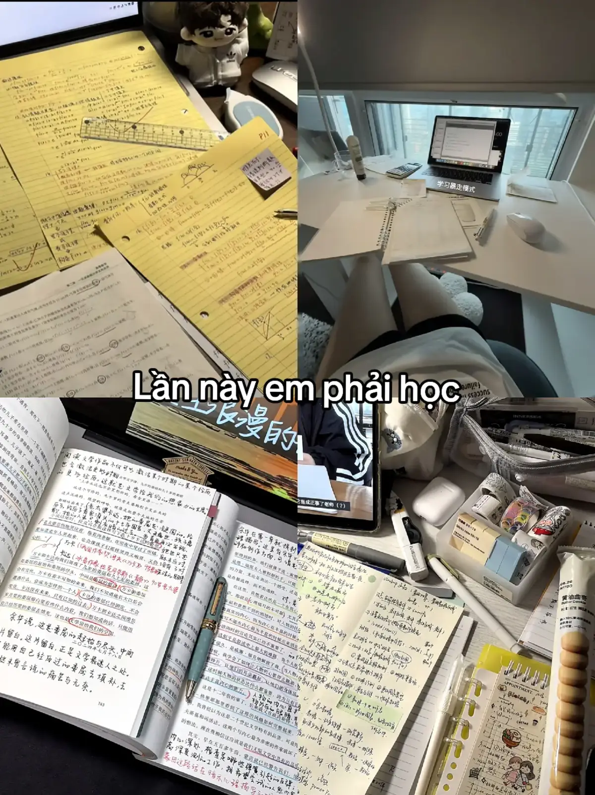 vì tương lai và ước mơ của em!#tuonglaiphiatruoc #cogangmoingay #tuonglai #uocmocuatoi #uocmo #李宝陈🌻 #tuonglaiphiatruoc #thoidaiphongtuan时代峰峻🇨🇳🇨🇳🇨🇳 #trungquoc #thoidaiphongtuan #trungquocdailuc🇨🇳🇨🇳🇨🇳 #nam2031 #tfgiatocf4 #tf #tiengtrungmoingay #thanhxuan #🇨🇳🇨🇳🇨🇳 #daihoctrungkhanh #xuhuongtiktok #daihoctrungkhanh_chongqingtaxue_重庆大学 #toiyeudaihoctrungkhanh🇨🇳 #🇨🇳🇨🇳🇨🇳🇨🇳🇨🇳🇨🇳🇨🇳🇨🇳🇨🇳🇨🇳🇨🇳 #fyp #trungkhanhtrungquoc✈️🇨🇳  #viral_video #trungkhanhtrungquoc🇨🇳🇨🇳🇨🇳 #xh 