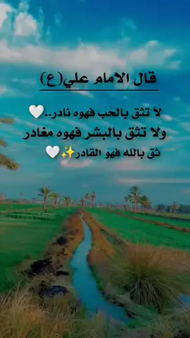 #اقتباسات #اقوال #وحكم #الأمام_علي_عليه_السلام 
