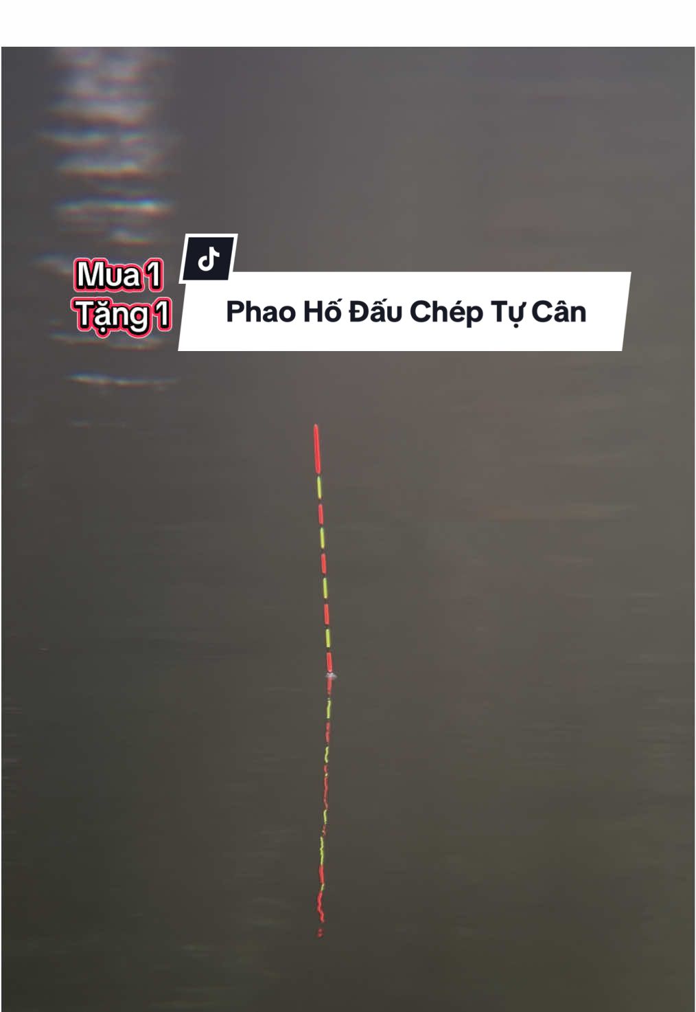 Phao hố đấu tự cân chép 9 nấc sử dụng thực tế. Nên sử dụng trục dưới hoặc bằng 4.  #phaocauca #phaohodautucan #phukiencauca #cauca #fishing 