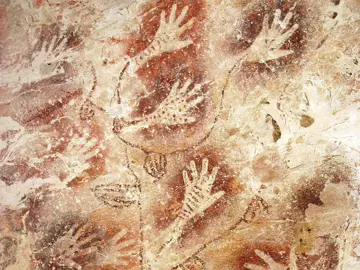 A connection to the past how we know our ancestors #fyp #trending #prehistory #paleo #foryou 