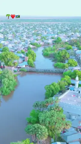 Baladweyne Hoygii barwaaqada🫶🏾😍🇸🇧🌴#baladweyne🌴💉💯❤️🙏🌴 #baladweyne🇸🇧😍❤️❤️‍🩹#hiraanstate🇸🇧 
