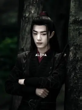 #xiaozhan #wangyibo #wangxiao #theuntamed #fyp 