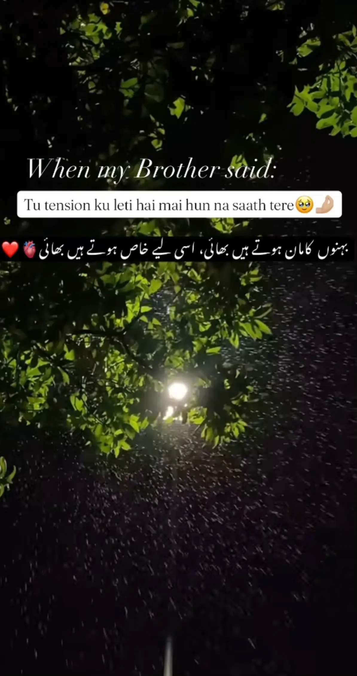 #fyp #viral #unfreezemyacount #tiktokuk #fypppppppppppppppppppppppp 
