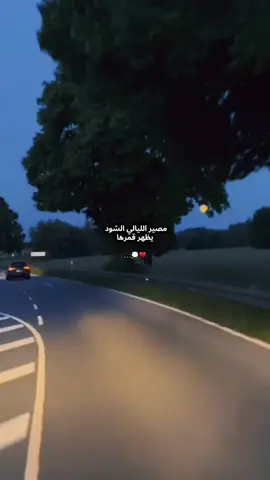 #تصويري #بدون_موسيقى 