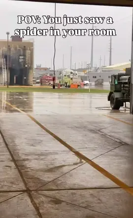 😂😂😂 #spider #fyp #justforfun #funnyvidios 