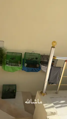 #دهوك_زاخو_سليماني_ئاكري_ئامیدی_هولیر 