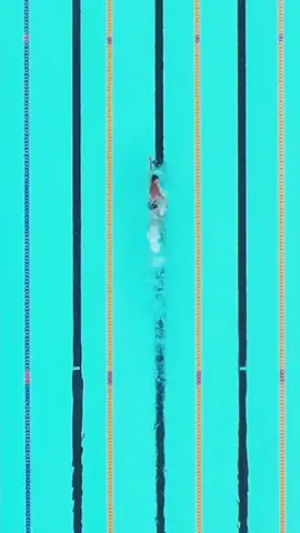 Nothing compares to the calm of moving through the water, one long stroke at a time.  🏊‍♂️ @Andy Donaldson  #SwimmingTechnique #swimmersoftiktok #freestyle 