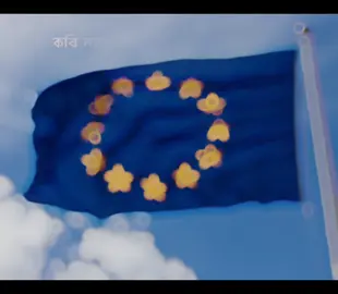 🇪🇺...🥺 #vairal #trending #trend #foryou 