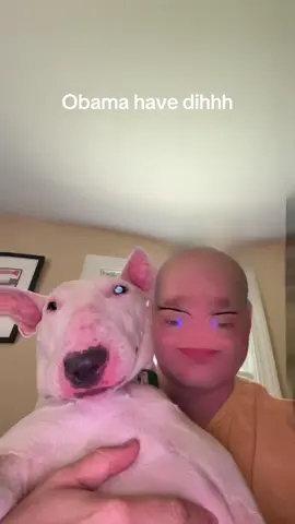 #obamahavedih #pookie #wtf #brainrot 