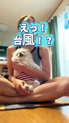 たださわってるだけ。