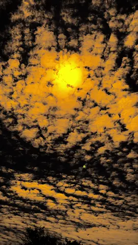 اَللهُم صَلِّى عَلَى سَيِّدِنَا مُحَمّد ٍ وَعَلَى آلِ سَيِّدِنَا مُحَمّدٍ #allahummashollialasayyidinamuhammad #maulidnabimuhamammadsaw #nabimuhammad #nabimuhammadsaw #xyzbca 