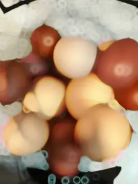 When all your hens start laying finally. Look at these eggs, so pretty. #chicken #backyardchickens #backyardchickenkeeper #freaheggseveryday #fresheggs 