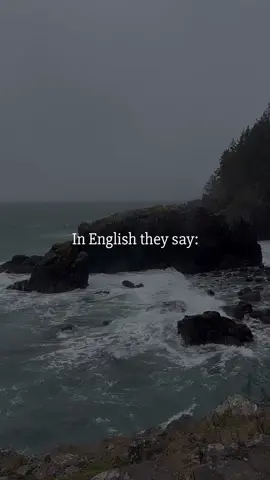 Two souls walking on the same path. 👣 • 📍Vancouver Island, British Columbia 📣 ✍🏼 • #fate #trusttheprocess #lovers #Love #lovequotes #relationships #Relationship #relationshipquotes #happiness #soulmate #soulmates #soulmatequotes #twinflame #twinflames #quotes #quote #quoteoftheday #quotestoliveby #quotestagram #lovequotesforher #inspirational #inspiration