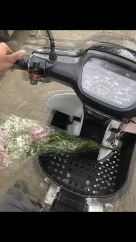 💐 #astreagrand #astrea #astrealegenda 