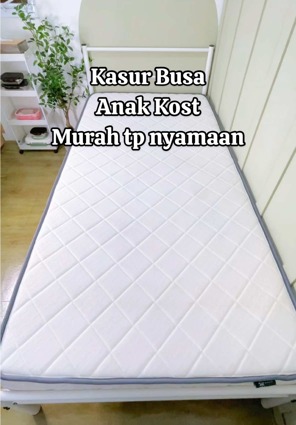 Kasur Busa Zinus Kasur Premium Anak Kost