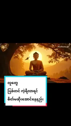 စိတ်မဆိုးအောင်နေနည်း#တရားတော်များ #ပါချုပ်ဆရာတော်ဘုရာကြီး🙏🙏🙏 #myanmartiktok🇲🇲🇲🇲 #foryoupage #foryou @TikTok 