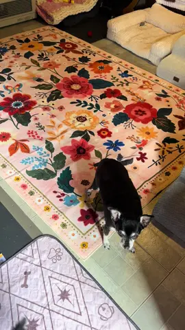 #washablerug #washablerugs #rug #rugtok #homedecor 