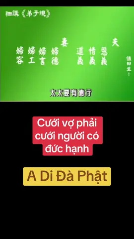 #nammobonsuthichcamauniphat #nammoadidaphat #nammodiatangvuongbotat #tinhkhongphapsu #phatphapnhiemmau 