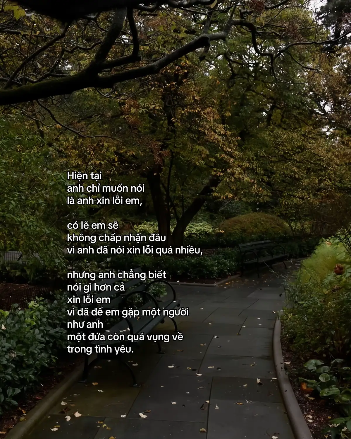 #fyp #viral #tamtrang 