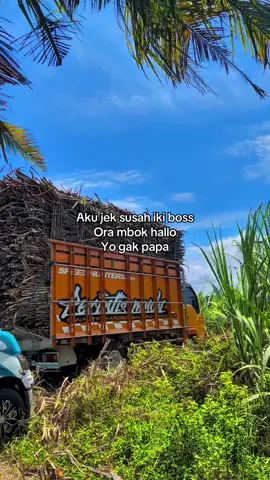 Dunia cukup kejam bagi kita yang pendiam#fyp #kulimuda #viral #penebangtebu #truktebu 