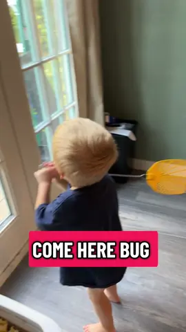 He’s the cutest bug exterminator there is 😝🥰 #fyp #funny #kidsarefunny #bugs #cutest 