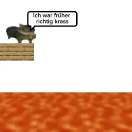 #yippi #fyp #viral #Minecraft #bedwars SCHEI$$E!!!
