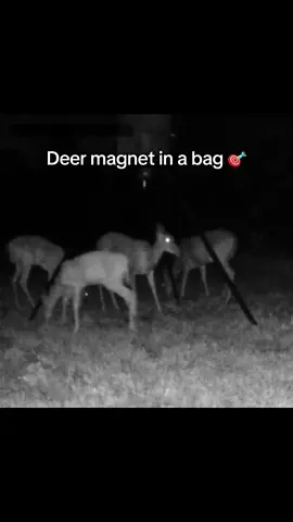 They came in quick and stayed even longer 🦌🔥 Kansas Prairie’s blue raspberry corn and green apple strawberry mineral is the real deal this season. Big bucks, does… they can’t resist it! #deer #deerhunting #bigbucks #giftsforhim #outdoorsman 