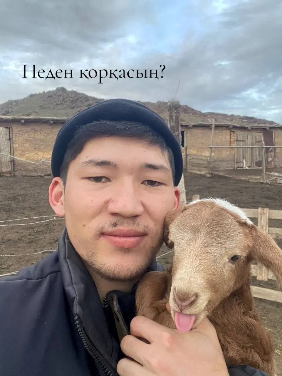#дым