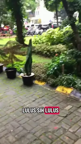 Boleh aja sih di kasih Banner tapi ngga segini nya. #sidangskripsi #kampus #fyp 