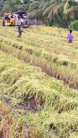 Người nguyên thuỷ ae ơi😂#kubota105xบ้าพลัง #xhtiktok 