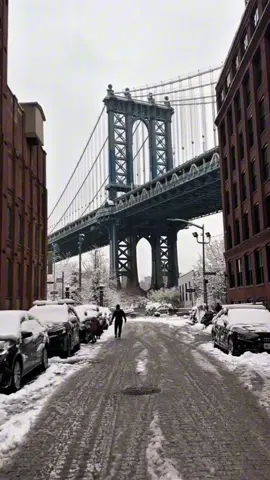 Some old memories , welcome to the Newyork city 🇺🇸 USA🇺🇸#fyp #viralvideo #eeuutiktok #luxurylife #usa 