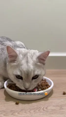 #рекомендации 