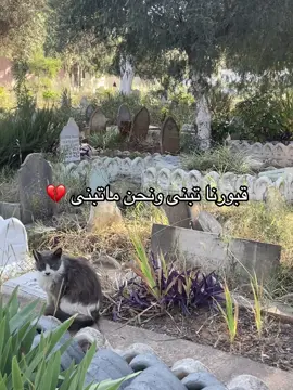 #شعب_الصيني_ماله_حل😂😂 #يتيمة_الاب_والقلب💔 #فراق #fyp 