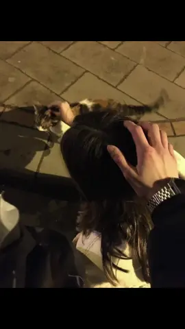 me and you? #couplecute #cat #couple #cute #fyppppppppppppppppppppppp 