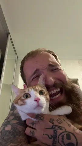 Маленький мой мурлыка