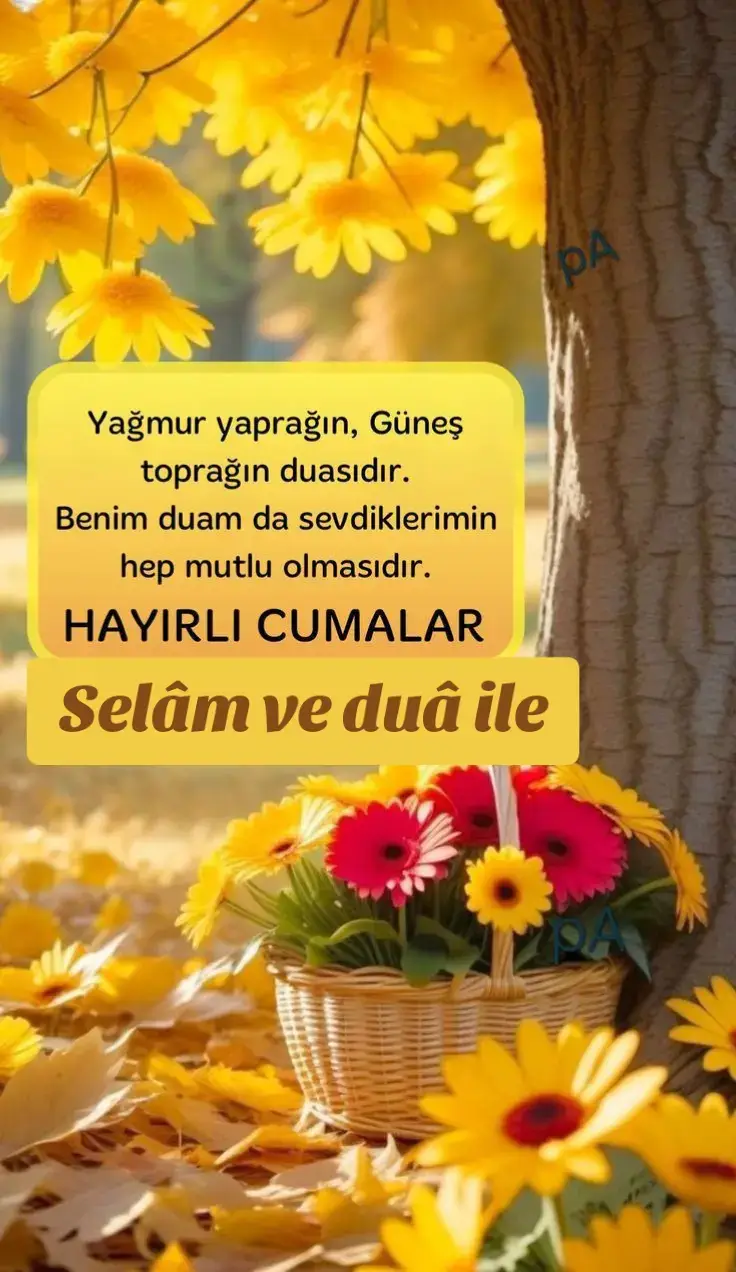 #hayırlı #cumalar #selam ve #dua ile #tik_tok 