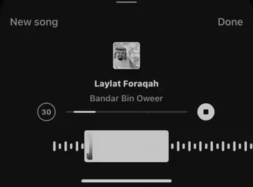 #بندر_بن_عوير #شيلات 