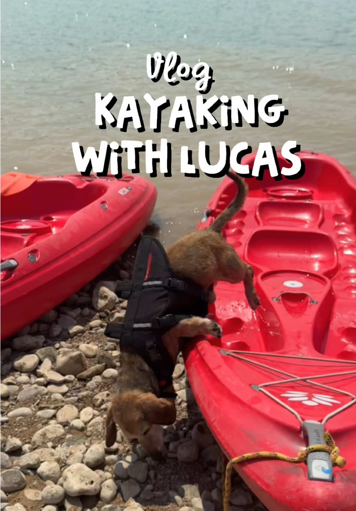 Kayaking with Lucas! 🚣✨#minivlog #Vlog #adventure #kayak #dog 