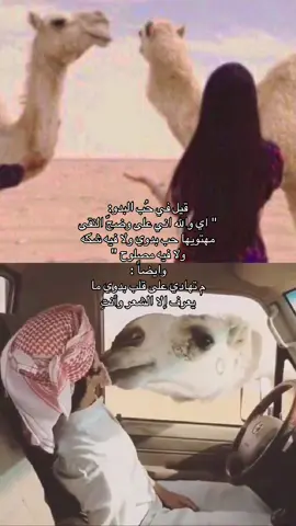 #المري 