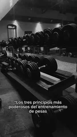 “La eternidad no es para todos, es para los que se atreven a desafiar el tiempo. ⚔️🔥” #Athanatos #FilosofíaEterna #MenteFuerte #Inmortalidad #GuerreroInterior  